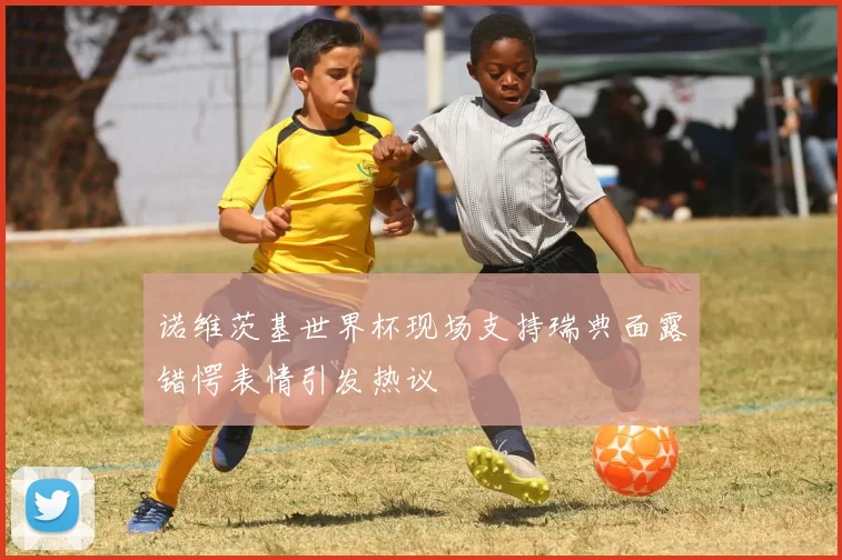 诺维茨基世界杯现场支持瑞典面露错愕表情引发热议